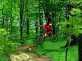 Mountain bike för att spela online