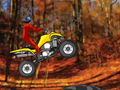 Quad Extreme Racer för att spela online