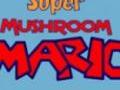 Super Mushroom Mario för att spela online