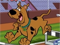 Scooby Doo - Steeplechase för att spela online